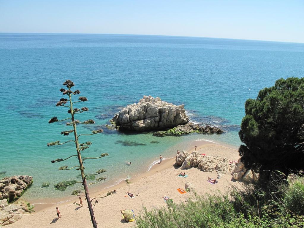 Camping Roca Grossa كاليليا المظهر الخارجي الصورة